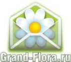 Логотип компании Доставка цветов Гранд Флора (ф-л г.Маркс)